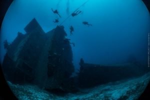 padi specialty wreckcourses roatan