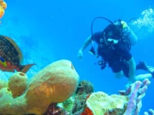 Roatan Diving: What is it like to Breathe Underwater?