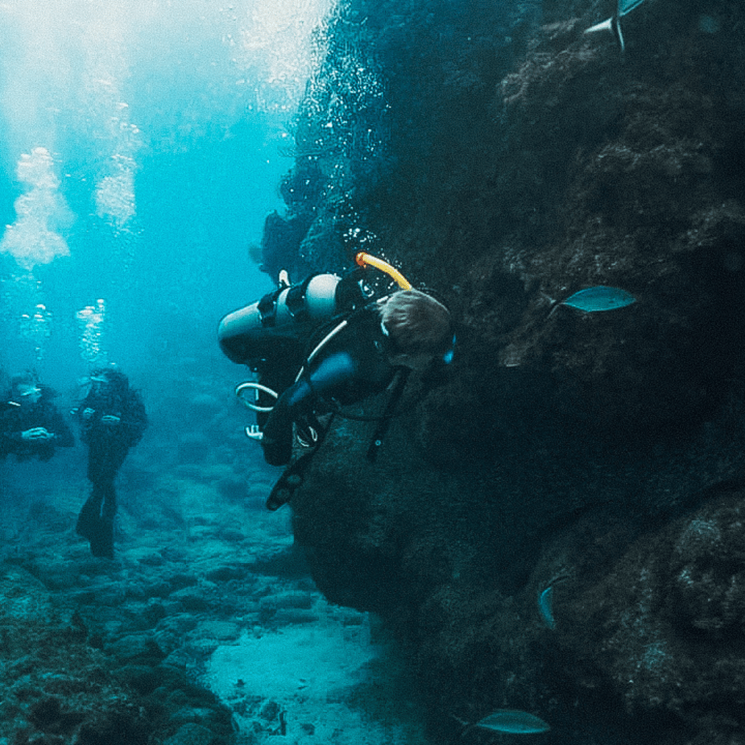 PADI Courses Roatan Course Options Octopus Dive School