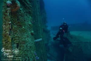 Roatan Diving: How Deep are the Dives in Roatan?