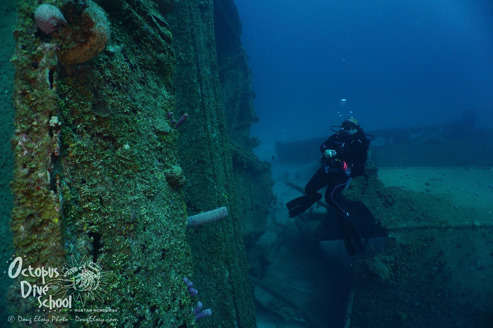 Roatan Deep Dive Sites