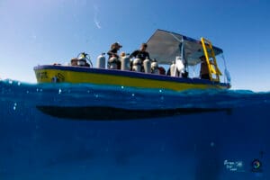 Roatan Boutique Dive Shop