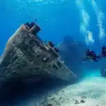 Discover the Best Dive Training in Roatan with Octopus Dive School