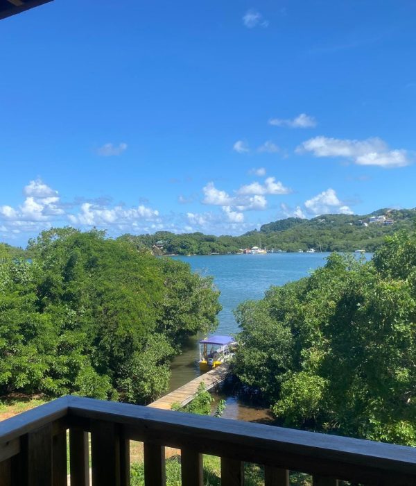 1000282147.jpg