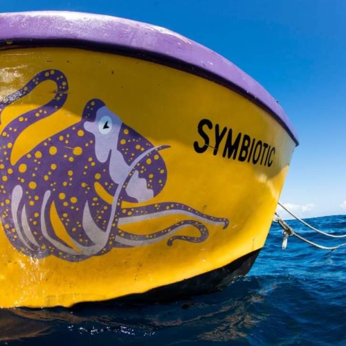 anniversary roatan dive shop