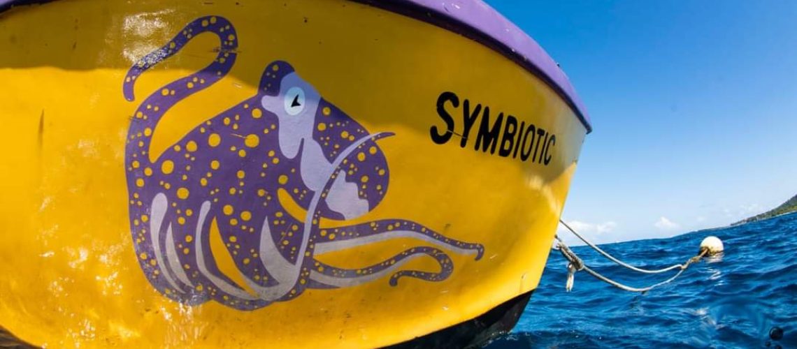 anniversary roatan dive shop