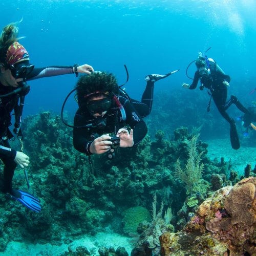 DSD Roatan Honduras