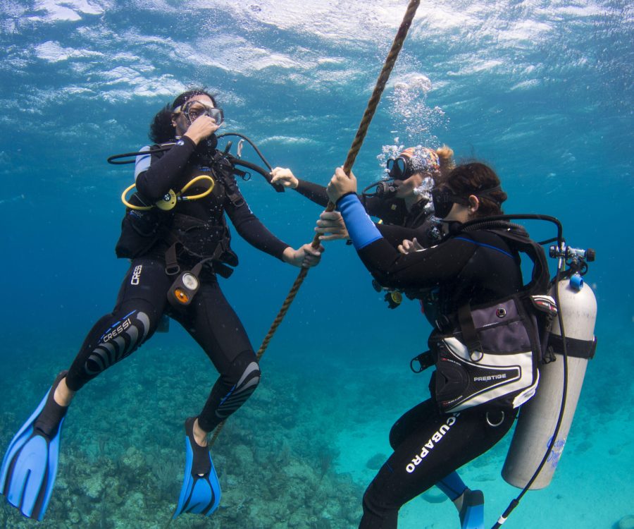 Divemaster Internship Roatan