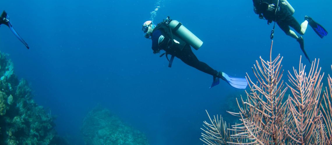 open water diver course roatan