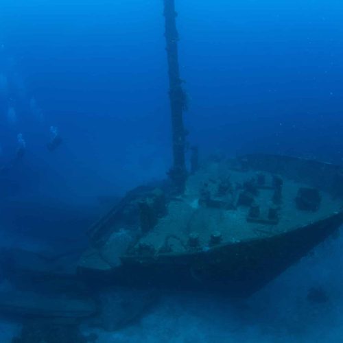 roatan wreck diver