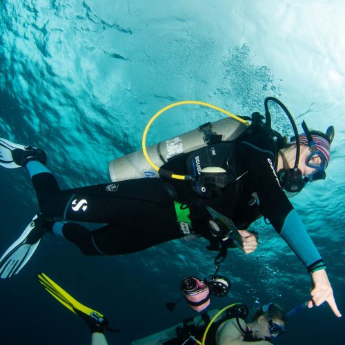 advanced diver course roatan
