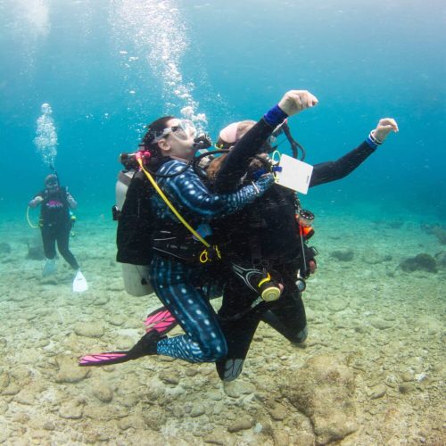 rescue diver roatan
