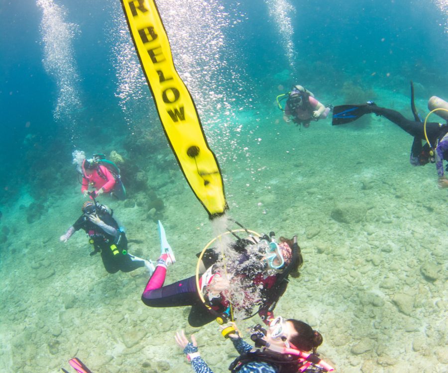 advanced open water roatan