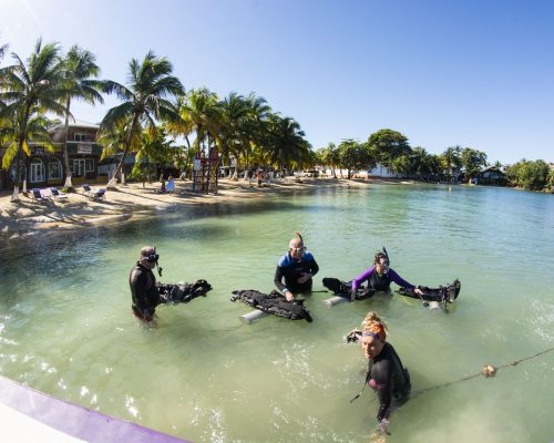 open water course west end roatan
