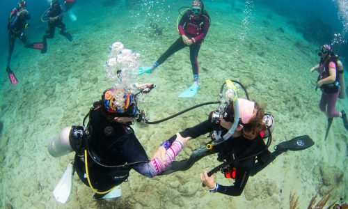 Open Water Scuba Roatan