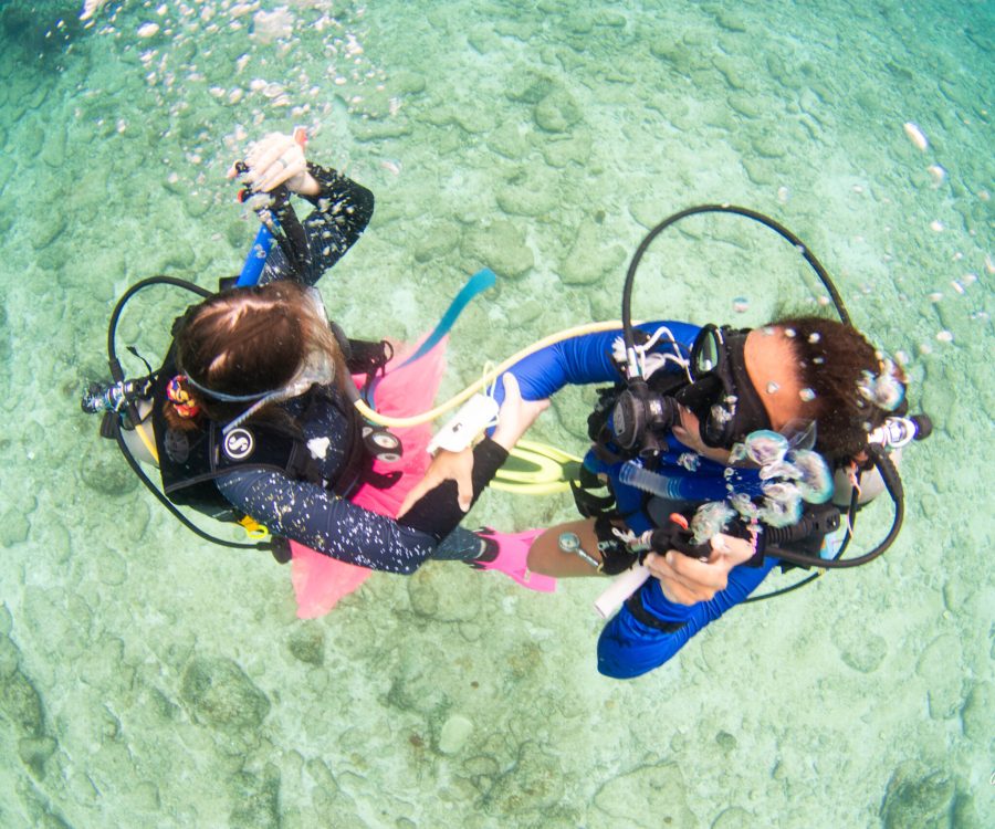 PADI Open Water Diver Roatan