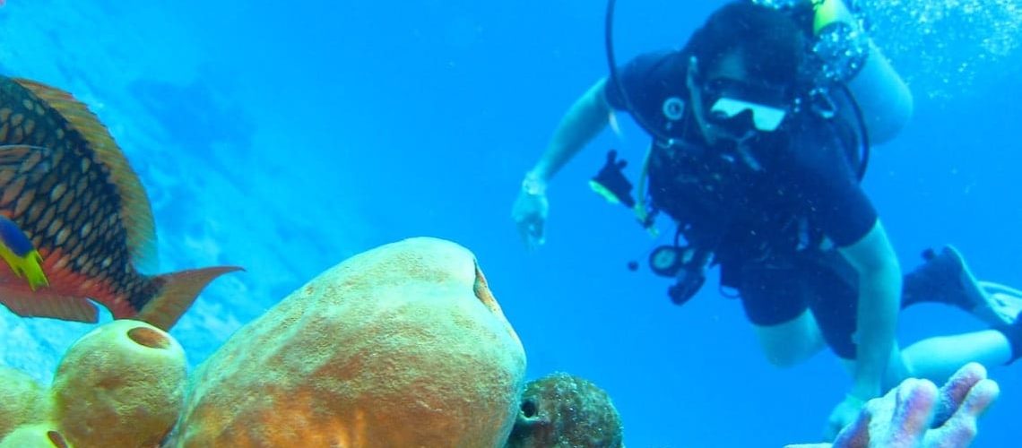 cruise ship diving roatan