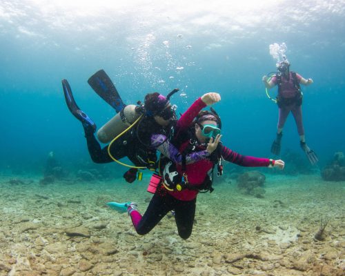 resuce diver roatan