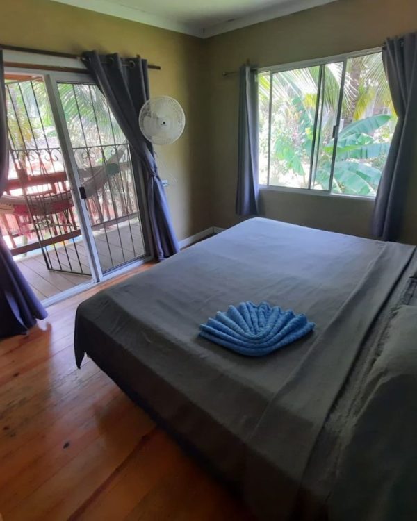 roatan-hostel-dive-and-stay.jpg