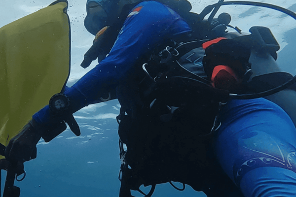 PADI search & Recovery course Roatan