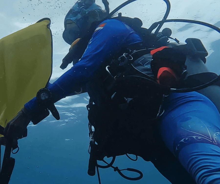 PADI search & Recovery course Roatan