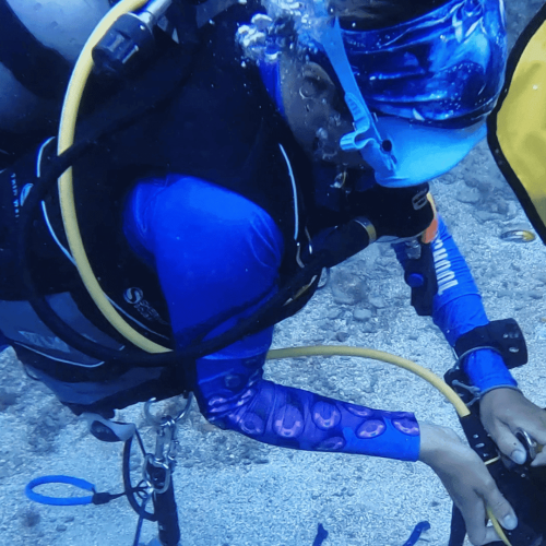 search recovery roatan