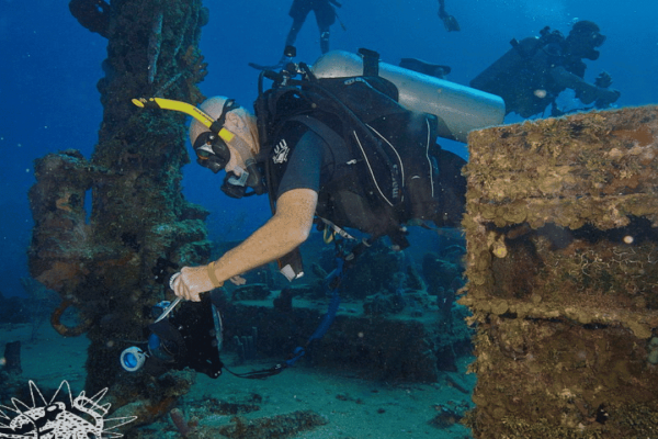 Roatan PADI Digitial Underwater photography course