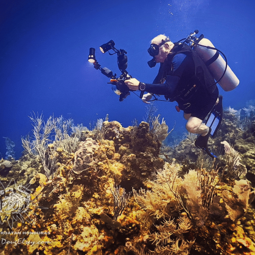 PADI Roatan underwater photographer