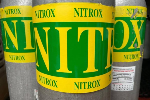 nitrox PADI roatan