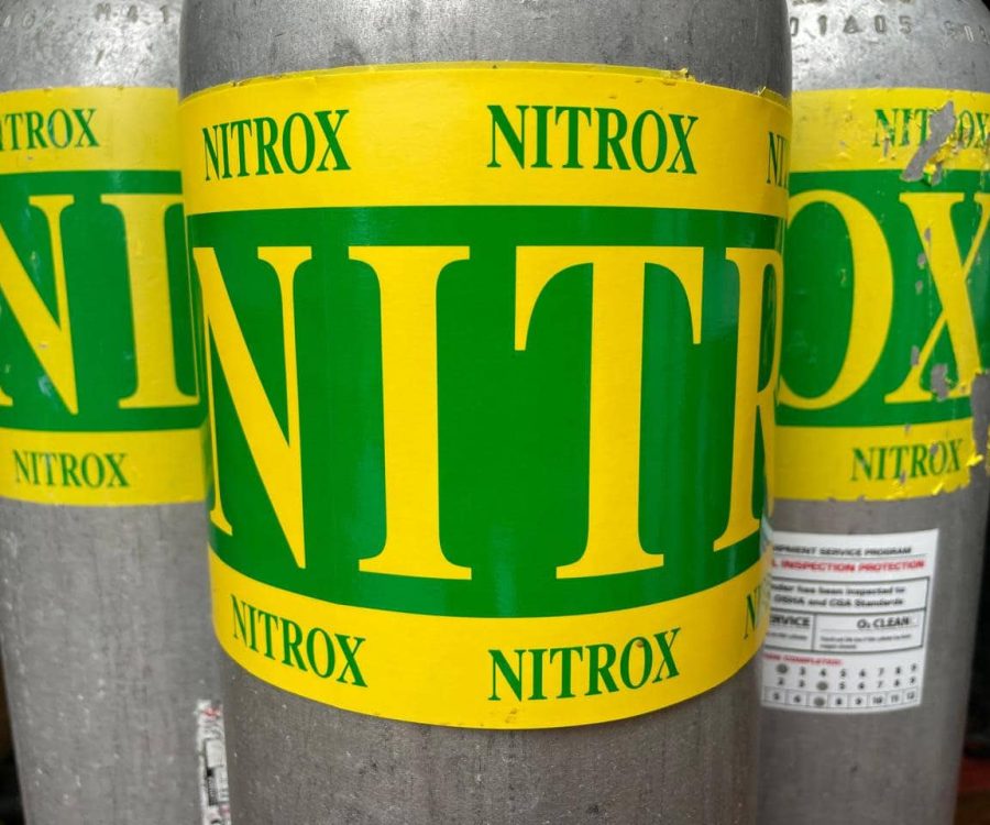 nitrox PADI roatan