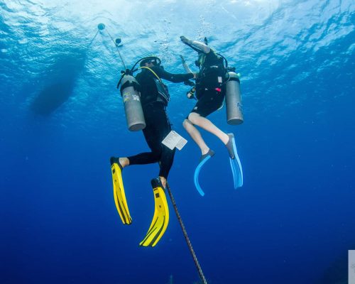 PADI disccover scuba diving